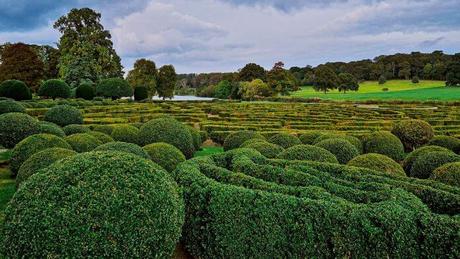 Jardines con los más bellos laberintos para perderse en la magia Jardines con los más bellos laberintos para perderse en la magia