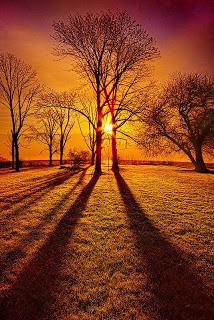 4.235 - FRAGMENTO DE UN DIARIO - DÍA 14