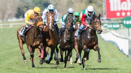 [CUENTOS PARA ADULTOS] Hoy, con El principiante, de Charles Bukowski
