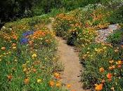 4.237 pasó domingo...