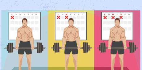 frecuencia de entrenamiento hipertrofia