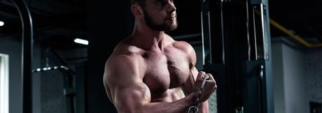 Qué es la hipertrofia muscular – Así es cómo se gana la masa muscular estimular hipertrofia