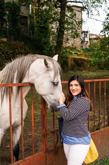 La susurradora de caballos