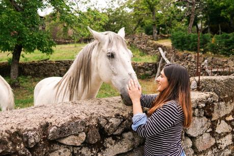 La susurradora de caballos