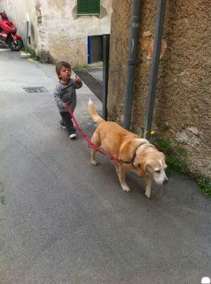 Los primeros turistas postcoronavirus aterrizan en Mallorca; Bienvenido Mister Marshall, ahora con los alemanes; Cebrián se desata… y se impone el sumo ‘presunto’ corrupto Felipe González. Los primeros turistas postcoronavirus aterrizan en Mallorca; Bienvenido Mister Marshall, ahora con los alemanes; Cebrián se desata… y se impone el sumo ‘presunto’ corrupto Felipe González.