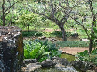 Micromomentos de amor en Las Moradas jardín interior