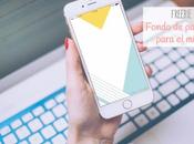 Fondo pantalla para móvil julio