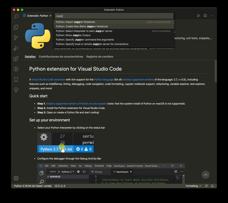 Jupyter Notebooks en Visual Studio Code