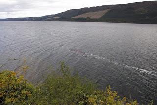 Nuevas fotografías de Nessie (demasiado buenas para ser verdad) Nuevas fotografías de Nessie (demasiado buenas para ser verdad)