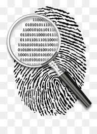 Investigación Criminal