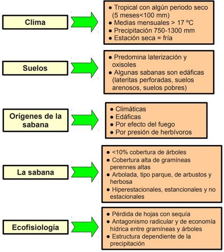 Sabana