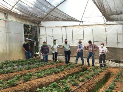 SUPERVISA SEDAGRO PROYECTOS AGRÍCOLAS SUBSIDIADOS POR EL GOBIERNO ESTATAL