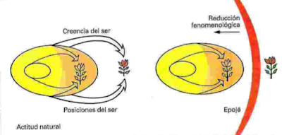 El método fenomenológico según Husserl El método fenomenológico según Husserl