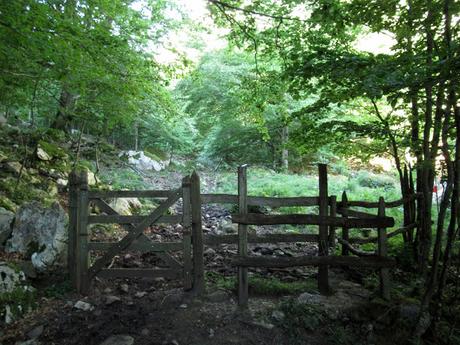 L.lindes-El Puerto Güeria-Manín