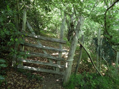 L.lindes-El Puerto Güeria-Manín