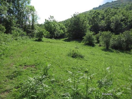 L.lindes-El Puerto Güeria-Manín