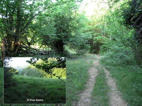 L.lindes-El Puerto Güeria-Manín