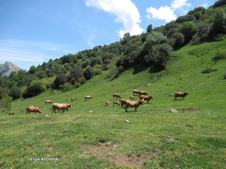 L.lindes-El Puerto Güeria-Manín