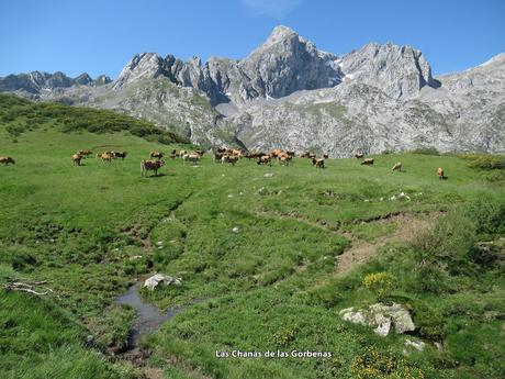L.lindes-El Puerto Güeria-Manín