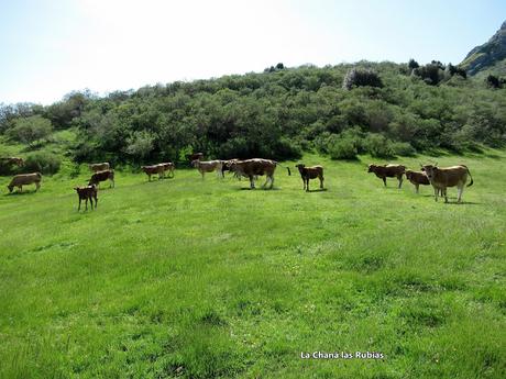 L.lindes-El Puerto Güeria-Manín