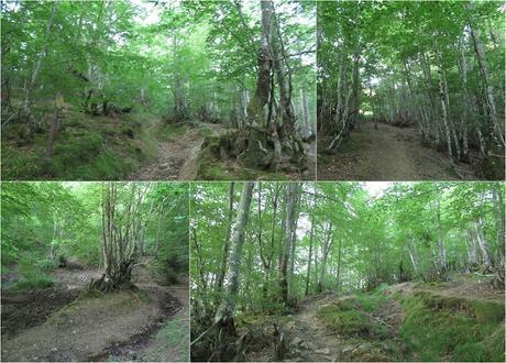 L.lindes-El Puerto Güeria-Manín