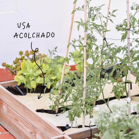 Cómo proteger tu huerto y tus plantas del calor del verano