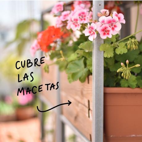 Cómo proteger tu huerto y tus plantas del calor del verano