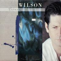 BRIAN WILSON - BRIAN WILSON BRIAN WILSON - BRIAN WILSON