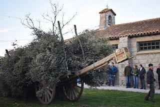 La Fiesta de la Candelaria en Las Navillas, Toledo