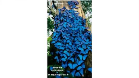 Guillermina Valdes y su significativo mensaje