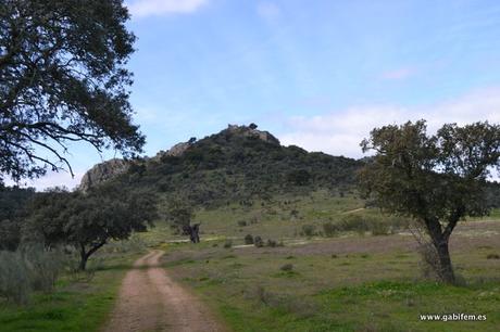 Castillo de Mayorga Castillo de Mayorga