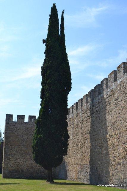 Praça Forte de Évora