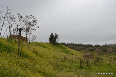Fuerte de Telena Fuerte de Telena