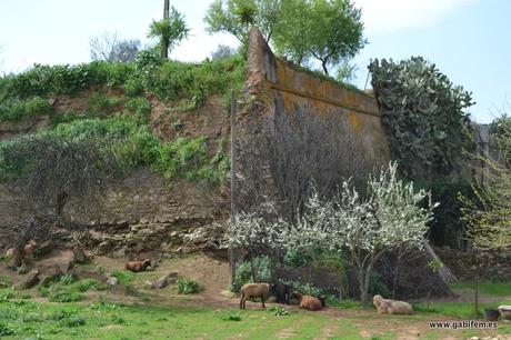 Fortificación Abaluartada de Olivenza Fortificación Abaluartada de Olivenza