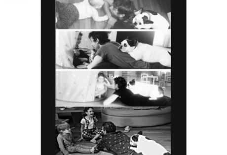 El dolor de Pedro Alfonso por la muerte de su perra Renata pedro alfonso 0629