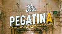 La Pegatina estrenan Como se hacen las flores