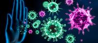 La Hiperactivacion del Sistema Inmune causa Covid 19 grave La Hiperactivacion del Sistema Inmune causa Covid 19 grave