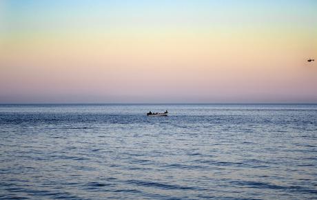 Brotes, rebrotes y rebotes