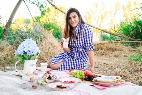 Mi picnic de cumpleaños