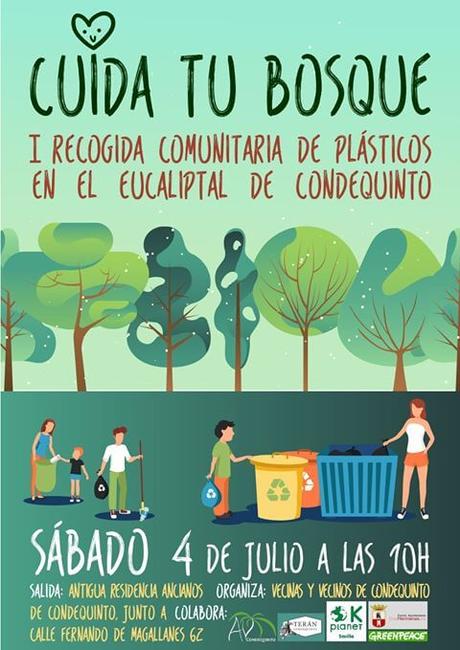 I Recogida comunitaria de plásticos en el Eucaliptal de Condequinto I Recogida comunitaria de plásticos en el Eucaliptal de Condequinto