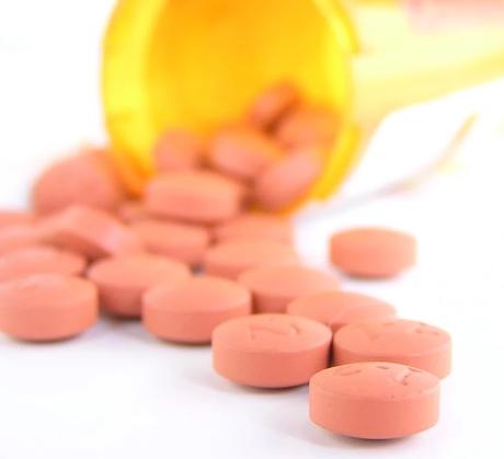 Decadencia más allá de los confines ocultos de los camellos y elefantes