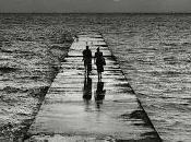 4.249 cantan claraboyas...