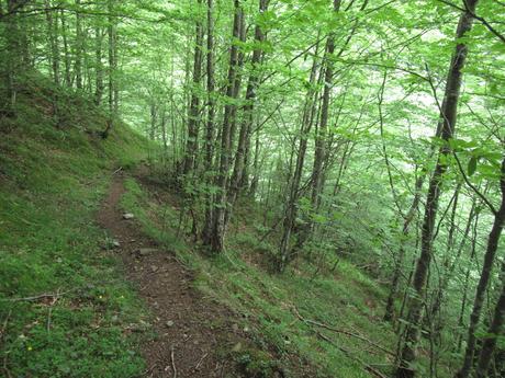 L.lindes-Pena Rueda-L´Escureo-Cortes