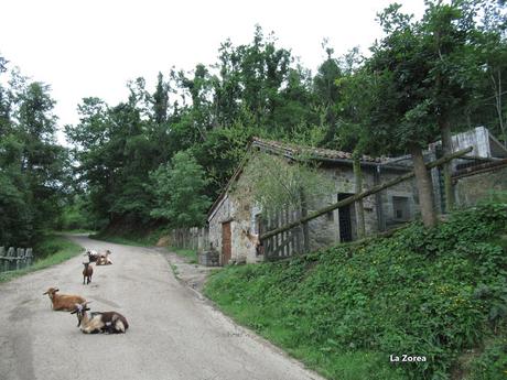 L.lindes-Pena Rueda-L´Escureo-Cortes