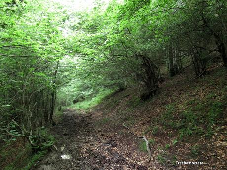L.lindes-Pena Rueda-L´Escureo-Cortes