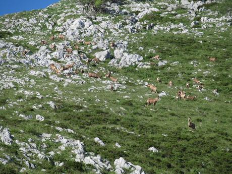 L.lindes-Pena Rueda-L´Escureo-Cortes