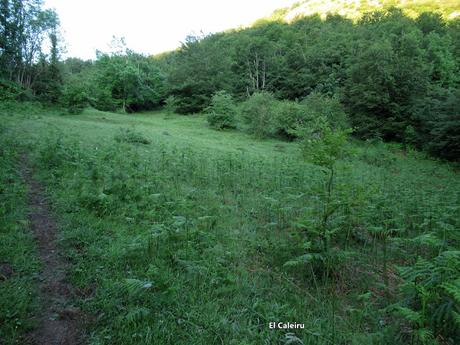 L.lindes-Pena Rueda-L´Escureo-Cortes