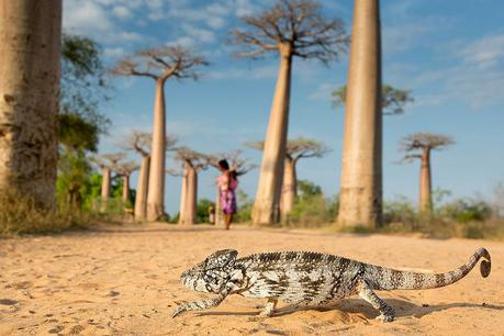 Destino naturaleza Madagascar