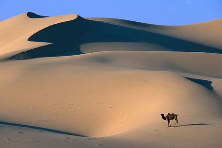 Desierto del Gobi el desierto más grande del mundo