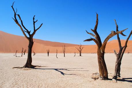 Destino ver naturaleza desierto Namib